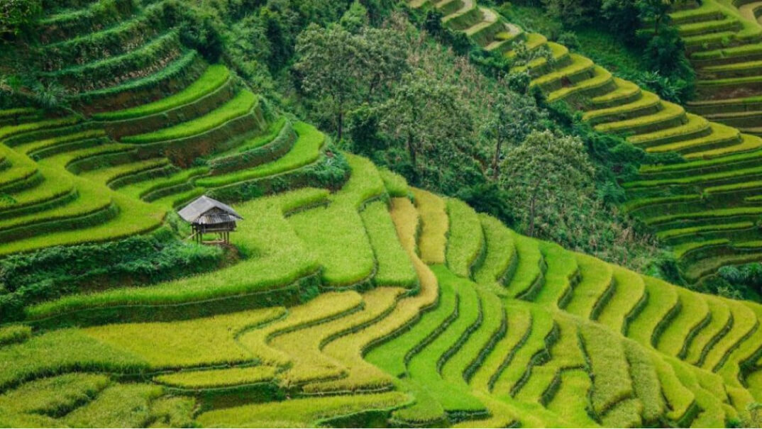Ý tưởng thiết kế